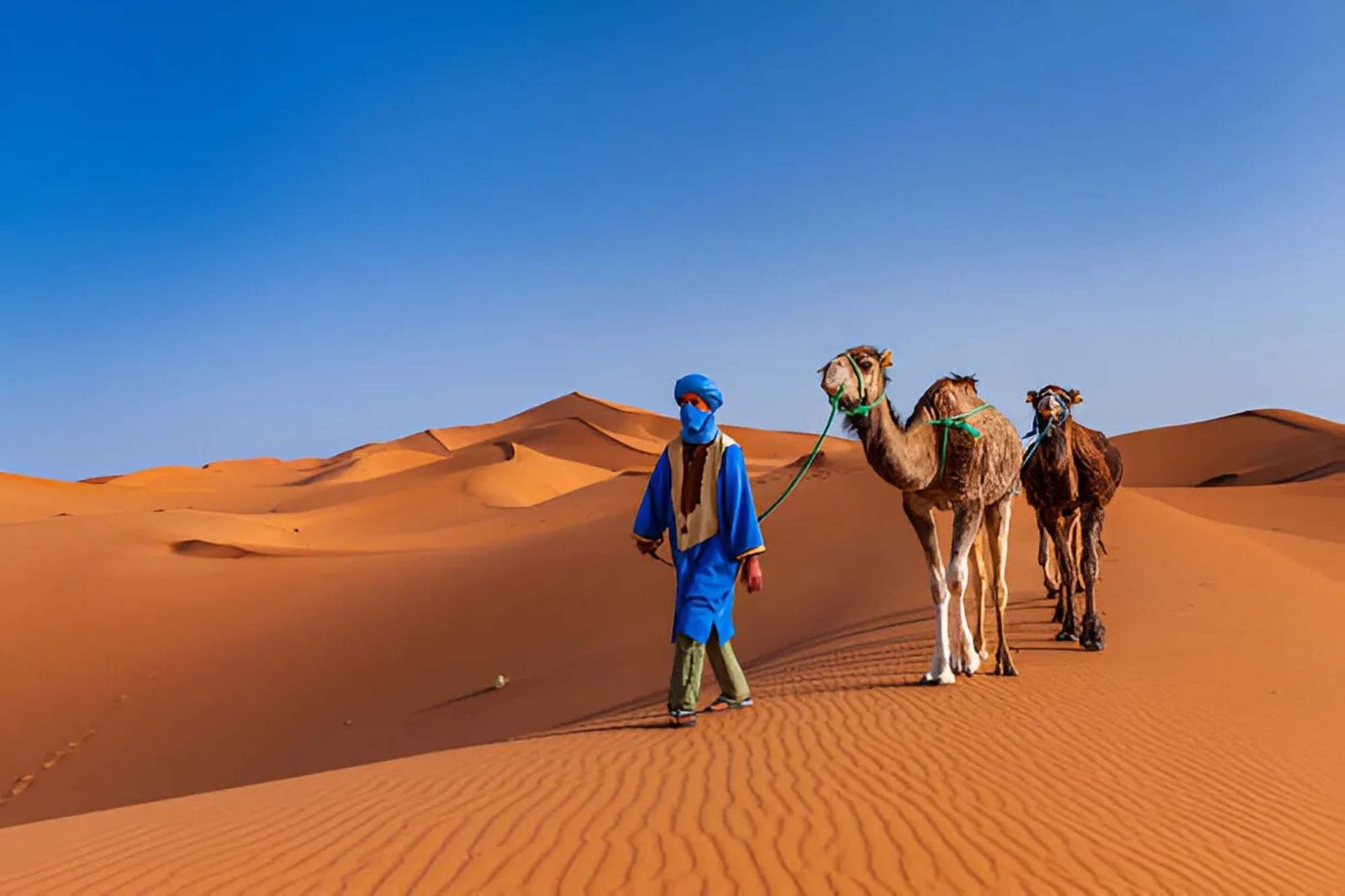 sahara morocco trip