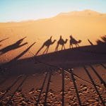 Looking for the best Morocco tours? We offer unique travel experiences across Morocco, from vibrant cities to the stunning desert. Whether you want adventure, culture, or relaxation, we’re here to help you plan the perfect trip.