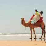 Morocco Cultural Tours Luxury Morocco Tours Morocco Excursions Morocco Travel Agency