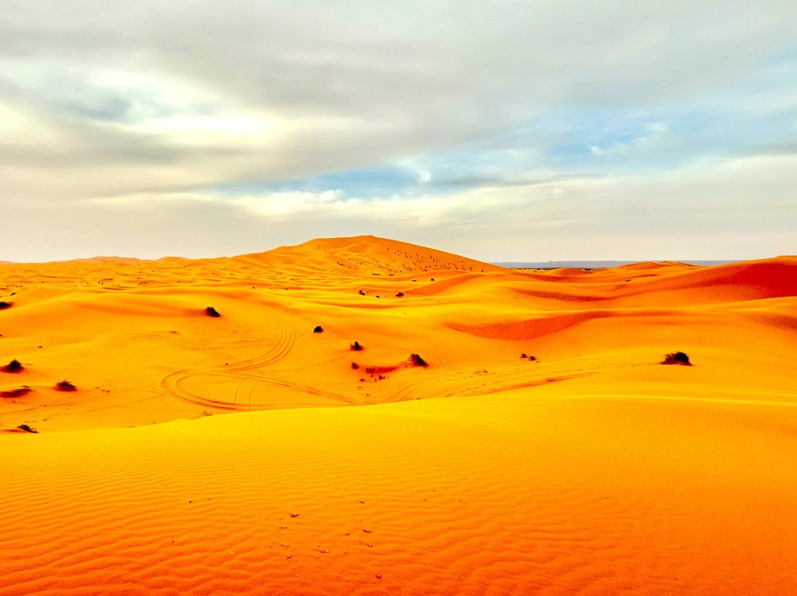 morocco tours