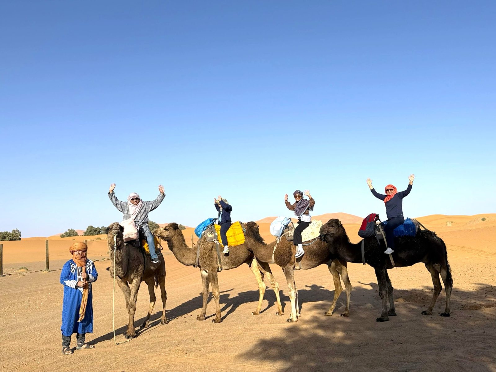 tours from marrakech