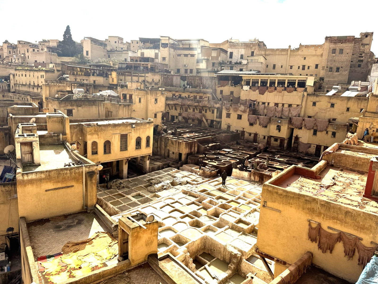 tours in fes